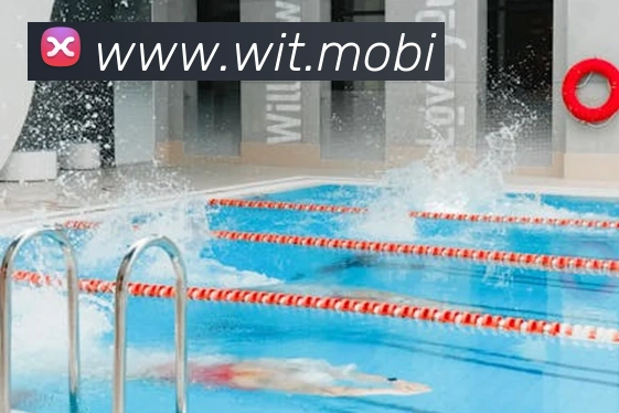 开云在线官网登录入口APP 高清赛事图